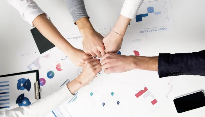 Distribution & Strategic Partnership